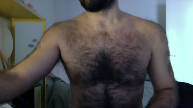 maestroy 05-02-2026 Recorded Video analtoy
