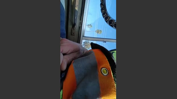 Klarkkent444 05-02-2026 Recorded Video fingers
