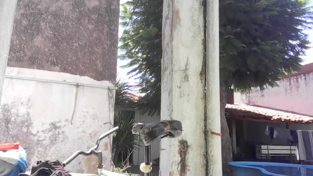 Groot223 08-02-2026 Recorded Video Webcam