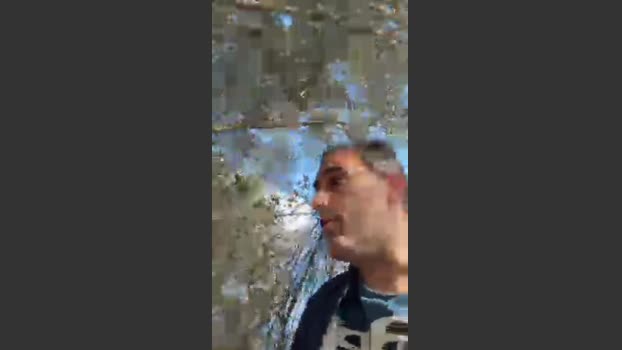 Petitesuisse 08-02-2026 Recorded Video suck