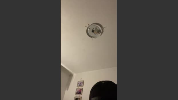 Benjaminroman65 09-02-2026 Recorded Video Video