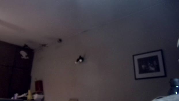 JohnnyDoe2025 09-02-2026 Recorded Video fuckme