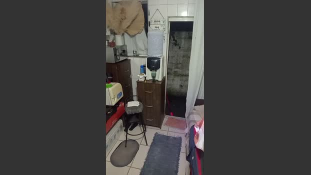 Juninho_cria 09-02-2026 Recorded Video jerkoff