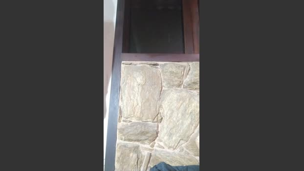 daniel3525 09-02-2026 Recorded Video yummy