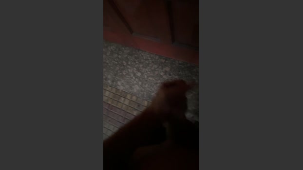 ricapijatecedo1 09-02-2026 Recorded Video cute
