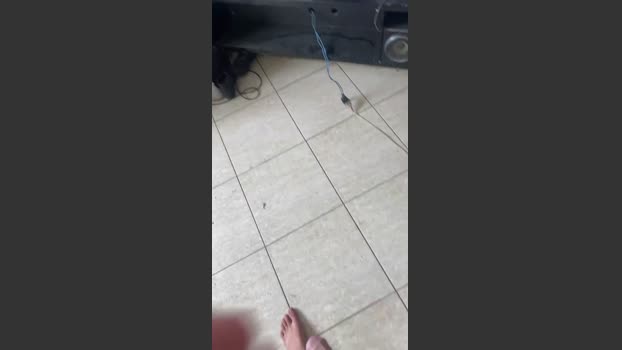Dot22cmCarioca 10-02-2026 Recorded Video wank