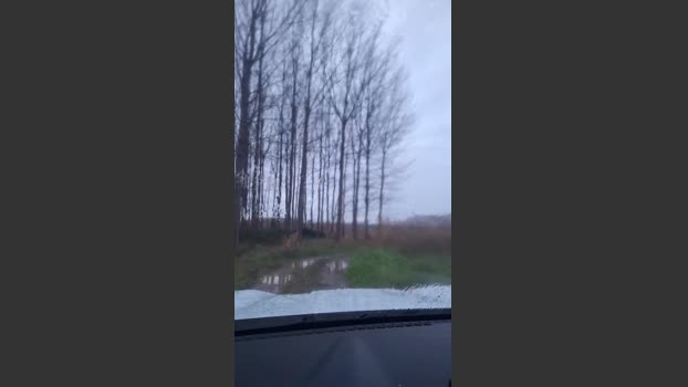 Gerontofilia 09-02-2026 Recorded Video XXX