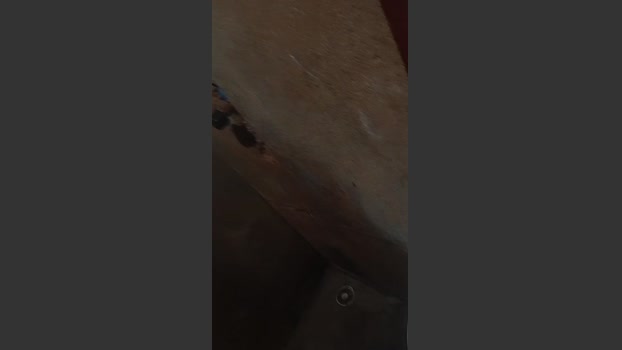 PAuzudomf 09-02-2026 Recorded Video bigtoys