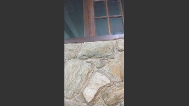 daniel3525 10-02-2026 Recorded Video kissing