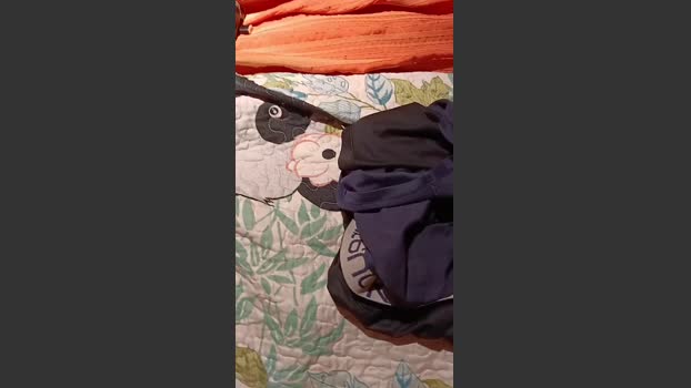 lokohelios1 10-02-2026 Recorded Video strip