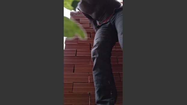 Vidalgo 10-02-2026 Recorded Video deep