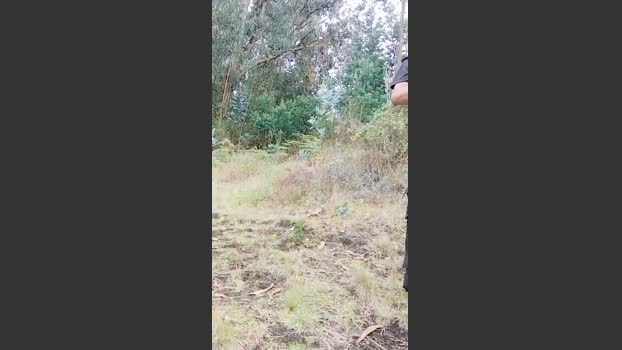_noahdiaz 10-02-2026 Recorded Video oral
