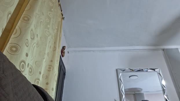 Bartisam 12-02-2026 Recorded Video fuckass