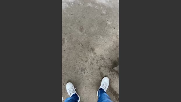 Bullnapol 11-02-2026 Recorded Video amateur