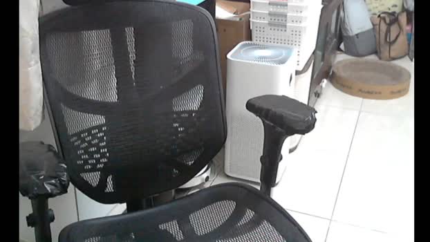 lQAQl 11-02-2026 Recorded Video wank