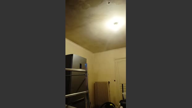 Dickwolf91 13-02-2026 Recorded Video jackoff