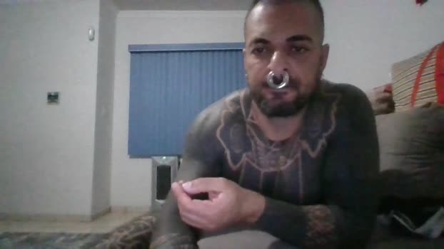 TatuadorJoao 14-02-2026 Recorded Video strip
