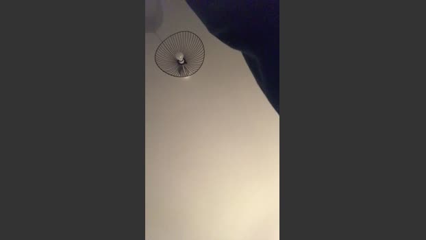 TheRealMan26 15-02-2026 Recorded Video ass
