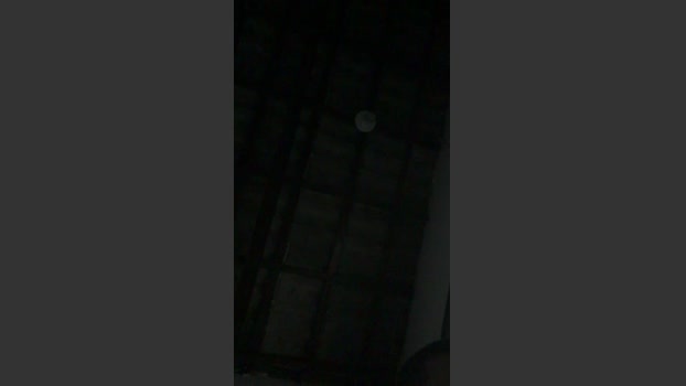 Abrahao22 15-02-2026 Recorded Video love