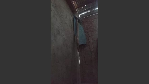 Leo23cm5 15-02-2026 Recorded Video oral
