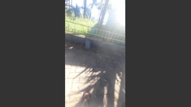 brferreira71 15-02-2026 Recorded Video gay