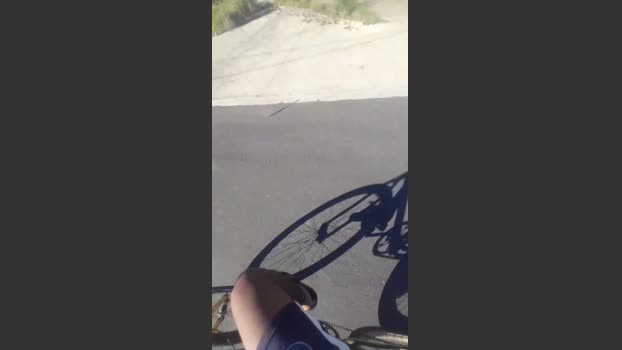 brferreira71 15-02-2026 Recorded Video fingers