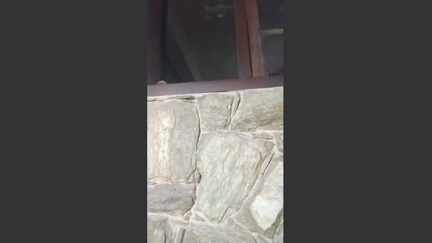 daniel3525 16-02-2026 Recorded Video love