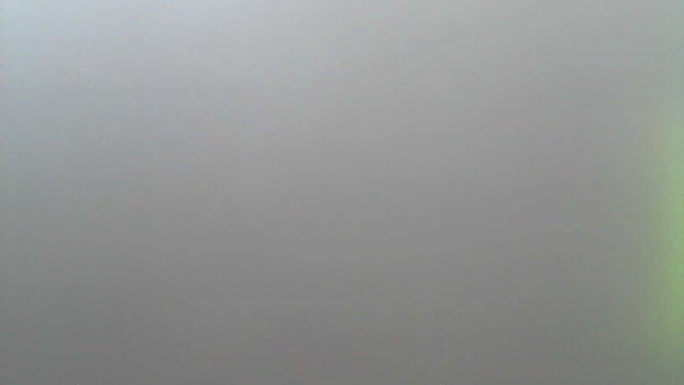 ferdiefuchs 16-02-2026 Recorded Video cute