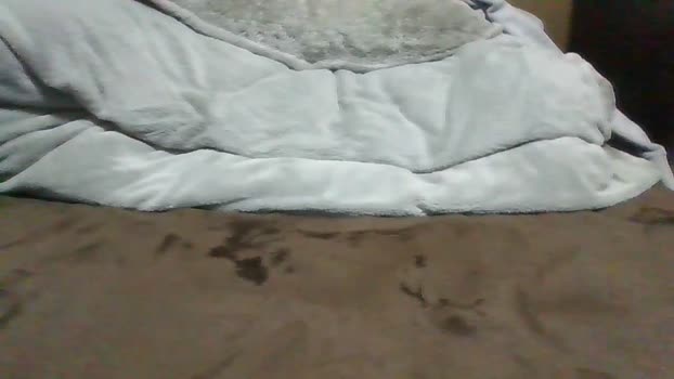 gryphon5 15-02-2026 Recorded Video horny