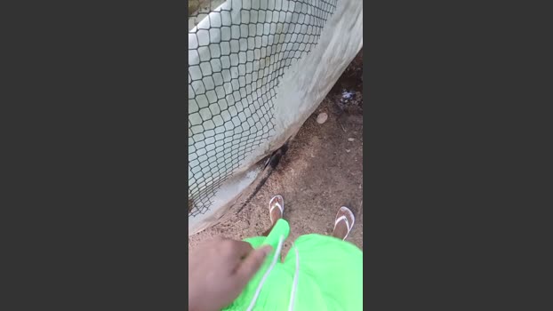 lindo2013 15-02-2026 Recorded Video jackoff