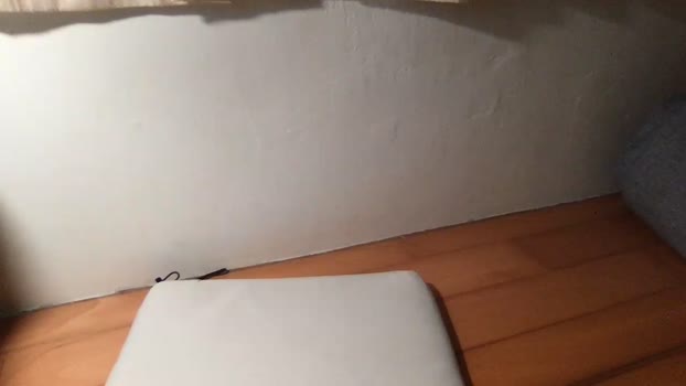 nivok_1 16-02-2026 Recorded Video handsome
