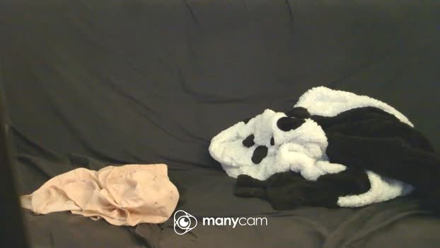 yoke 16-02-2026 Recorded Video hardcock