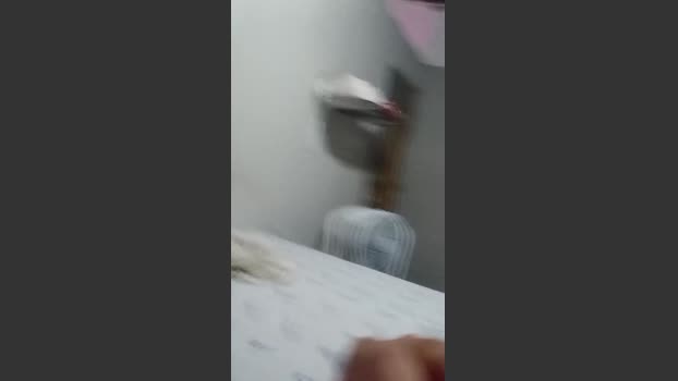 Carlossoares202 17-02-2026 Recorded Video prettyface