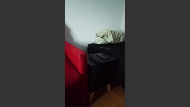 SaymonFitness 17-02-2026 Recorded Video blowjob