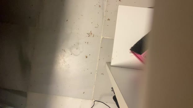 badboyjose1 17-02-2026 Recorded Video squirt
