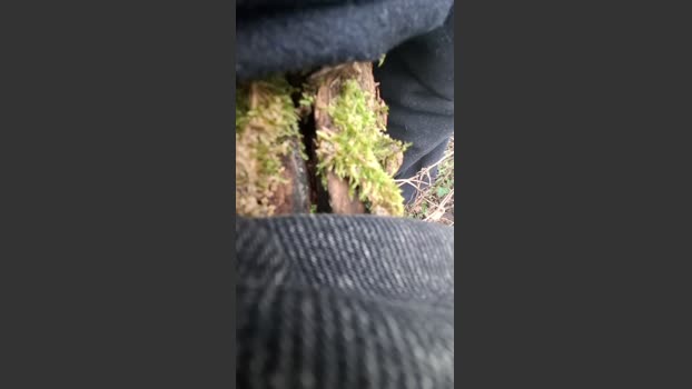 maxxboy3 16-02-2026 Recorded Video beauty