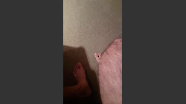 porongalargo 17-02-2026 Recorded Video bigcock