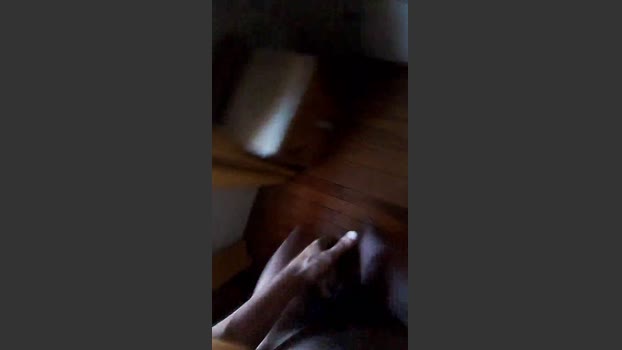 rodovlaz 17-02-2026 Recorded Video big
