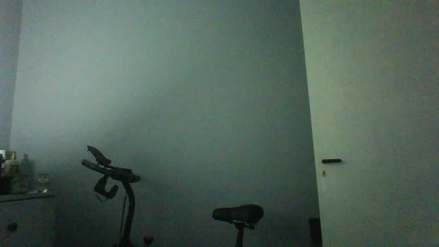 Alers87 17-02-2026 Recorded Video natural