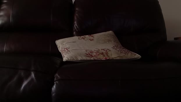 Drachiro 18-02-2026 Recorded Video sexy