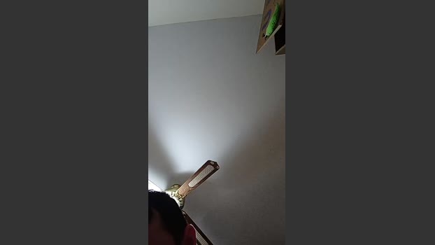 Vasgabri07 17-02-2026 Recorded Video fuckhard