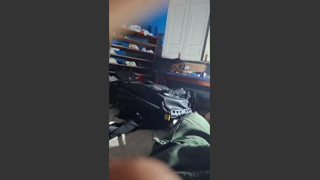 camargo12 18-02-2026 Recorded Video bigass