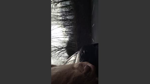 HUMPSTER2234 18-02-2026 Recorded Video hard