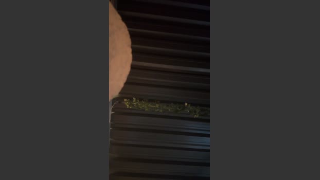 Mariokurt 18-02-2026 Recorded Video amateur
