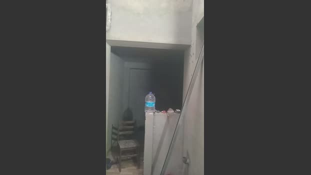 Pngrande20cm 18-02-2026 Recorded Video big