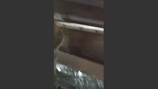 Sexylatinogay 19-02-2026 Recorded Video beauty