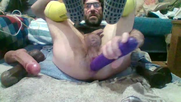 perrako_cerdako 19-02-2026 Recorded Video gag