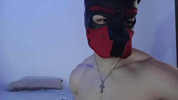 Frabroker 20-02-2026 Recorded Video big