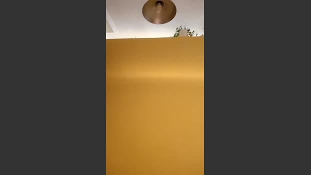 Fredylover 19-02-2026 Recorded Video beauty