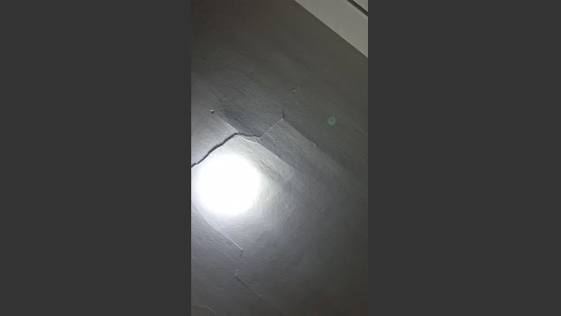 SiccVicc69 20-02-2026 Recorded Video bigballs
